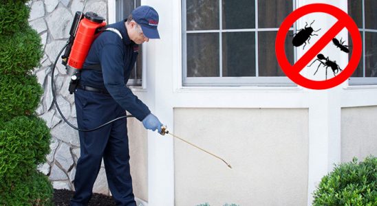 Lapseki Fare İlaçlama böcek ilaçlama ve haşere kontrolü — ilaclama-tr.com